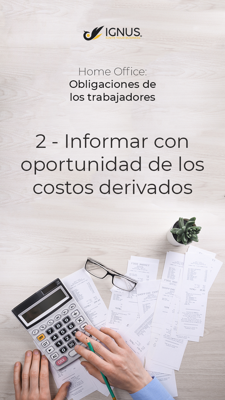 Teletrabajo / home office | ANIGAMI Studio